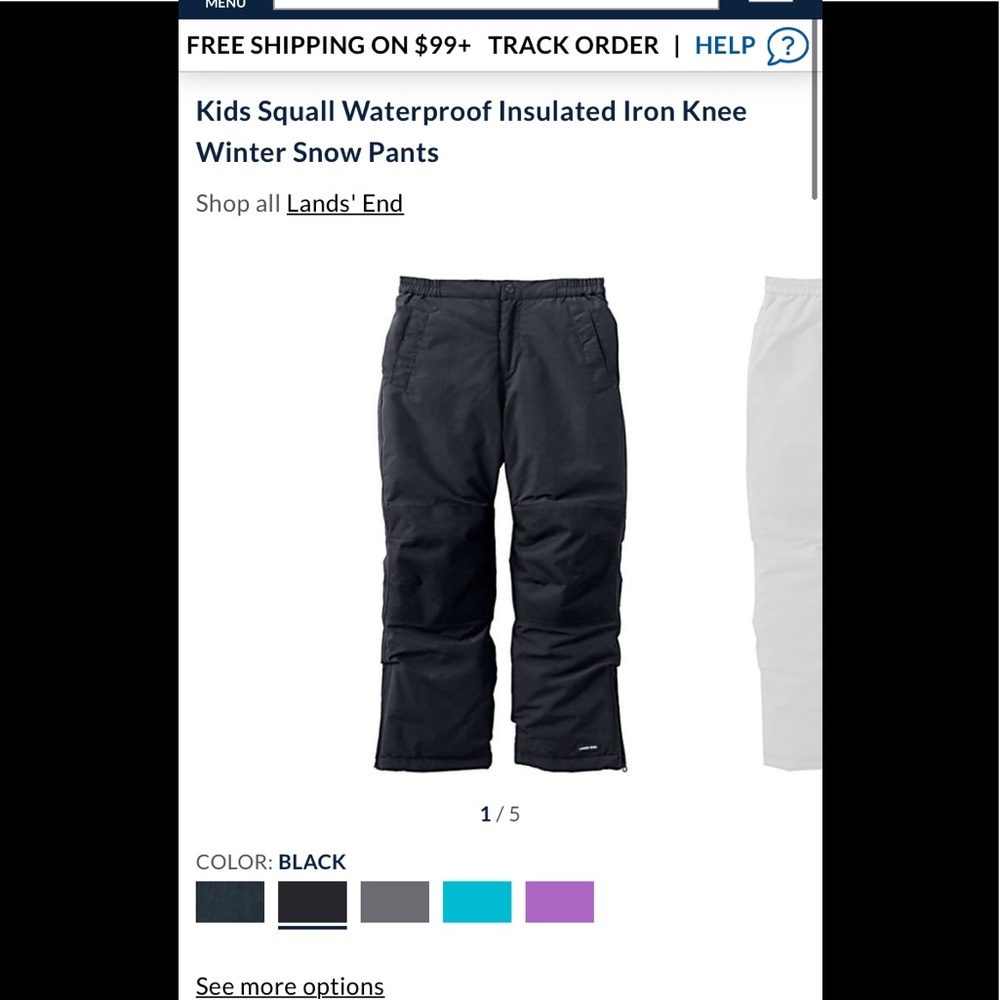 Land’s End Squall Snow Pants, boys 18 or women’s 10?